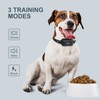 Bird Swings Dog Shock Collar with Remote, Bird Parakeet Toys