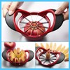 SINGARE Apple Cutter Slicer & Corer Kit - 12-Blade Apple