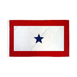AZ FLAG - Blue Star Service 1 Flag - 2x3 Ft - 100D Polyester Service Banner Banner with Two Metal Grommets - Fade Resistant - Vivid Colors - 2' x 3' Feet - 90x60 Cm