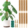 ALENEY Moss Pole, 8 Pack 17 inch Monstera Plant Support
