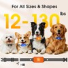 Dog Bark Collar for Large Medium Small Dogs, Effective No-Bark