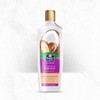 Parachute Shampoo 340 Milimeter