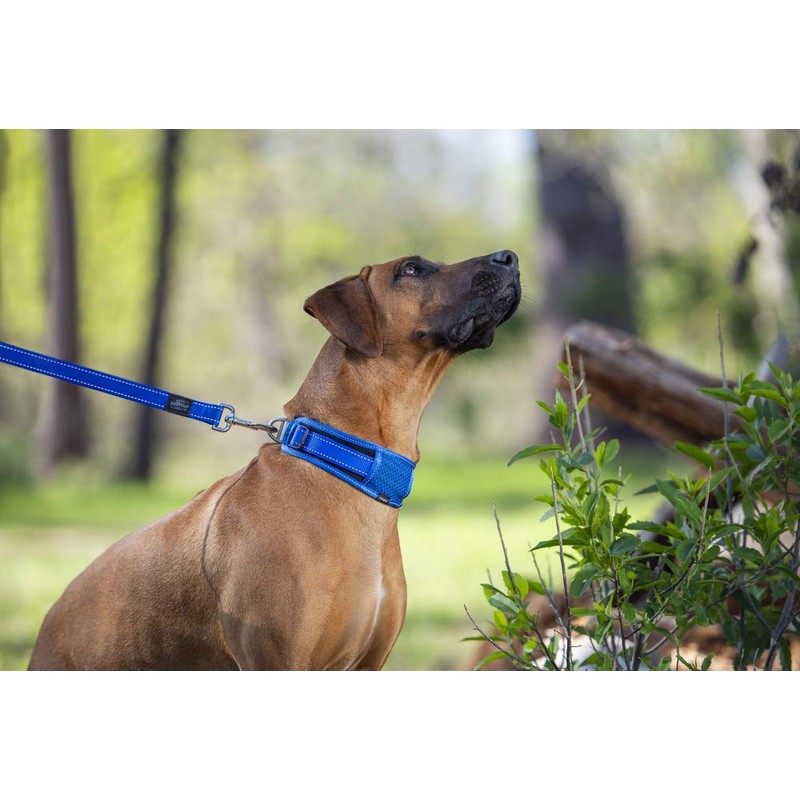 Rogz Classic Padded Dog Collar Reflective Large Black