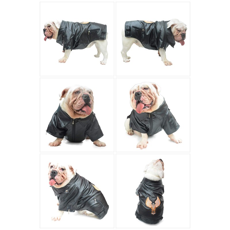 Lovelonglong Cool Dog Leather Jacket, Warm Coats Dogs Windproof Cold