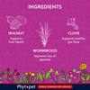 Phytopet Wormwood Complex, All Natural Pet Remedy Intestinal Hygiene, Health