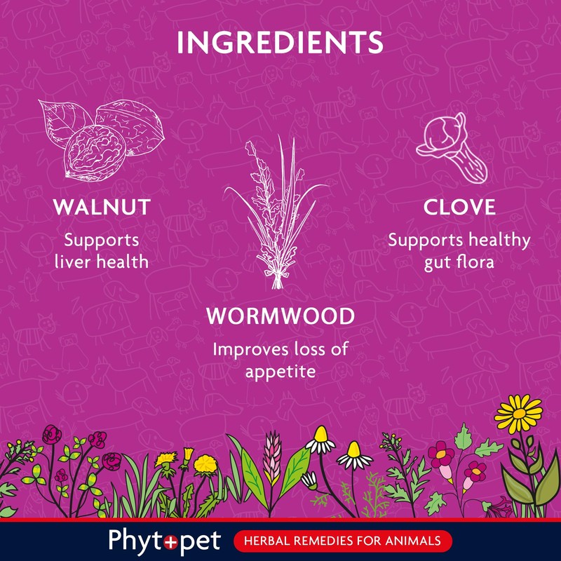Phytopet Wormwood Complex, All Natural Pet Remedy Intestinal Hygiene, Health
