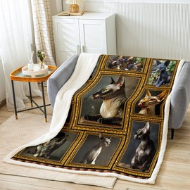 Feelyou Sphynx Cat Fleece Throw Blanket for Bed Sofa Couch Cute Cat Plush Blanket Throw 50"x60" Kawaii Kitten Sherpa Blanket Gift for Canadian Hairless Lover Fuzzy Blanket Flannal Blanket