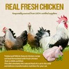 Timberwolf Wild & Natural Chicken Recipe with High Protein Dry