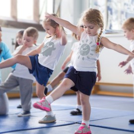 Artcut Plotter Film Textile, 30.5 x 300 cm Plotter Film, Vinyl Film Plotter for T-Shirt, Transfer Film Plotter for DIY, Plotter Film Vinyl Flex Film Plotter Textile for Iron-on, Vinyl Film (Silver)