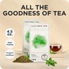 Tastings Tea Mint Fusion - 4.5 oz Loose Leaf |