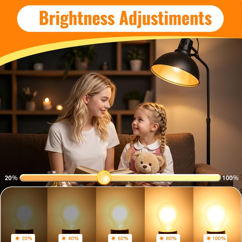 Blakapoo 100 Watt Incandescent Light Bulbs, A19 100W Frosted Light