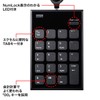 Sanwa Supply NT-21UBK Winding USB Numeric Keypad