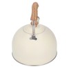 Whistling Kettle Stainless Steel Tea Kettle 2.5L Whistling Tea Pot