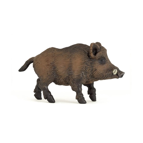 Papo -Hand-Painted - Figurine -Wild Animal Kingdom - Wild Boar -53011 -Collectible - for Children - Suitable for Boys and Girls- from 3 Years Old