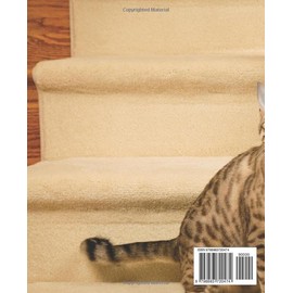  Bengal Cat Care Mastery: Proven Strategies for Optimal Health: The Ultimate Guide to Raising a Happy and Healthy Bengal Cat: Expert Tips for Optimal Care and Nurturing