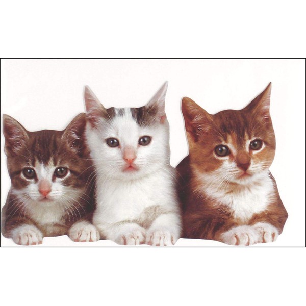 Paper House Productions Three Kittens Blank Card