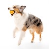 Playology Squeaky Dog Toy | Durable Rubber Interactive Dog Ball
