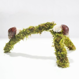 Begeterday 12 Inch Pet Snail Climbing Toys, Ideal Snail Terrarium Accessories, Perfect for Pet Snails That Like to Climb