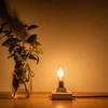 Beonllay 12 Volt LED Candelabra Bulbs E12 Base Light Bulb