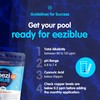Eeziblue Monthly Algaecide for Swimming Pool, Pool Algaecide for Inground