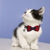 QH-Shop Cat Collar with Bell and Bow Tie, Pack of