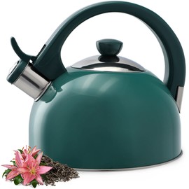 KADAX Stainless Steel Kettle, 1.7 L Kettle in Various Colours, Tea Kettle for All Types of Cookers, Retro Whistling Kettle (Green)