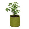 Haxnicks VIG110101 20 Liter Vigo Root Pots, Green, 20 L