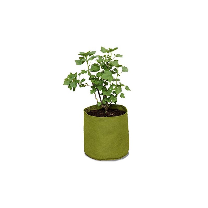 Haxnicks VIG110101 20 Liter Vigo Root Pots, Green, 20 L