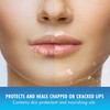 Mentholatum Natural Ice Lip Balm Original SPF 15 1 Each