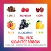 Swiss Imports Sugar Free Bonbons Hard Candy Drops Trial Pack