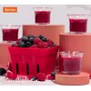 HYOOLA Clear Cup Scented Votive Candles - Berries - 12