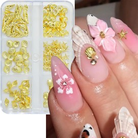 Muorruo 6 Grid Beach Nail Charms, Golden Shell Nail Rhinestones, 3D Starfish Nail Jewels and Charms in Various Shapes, Ocean-Style Nail Decorations