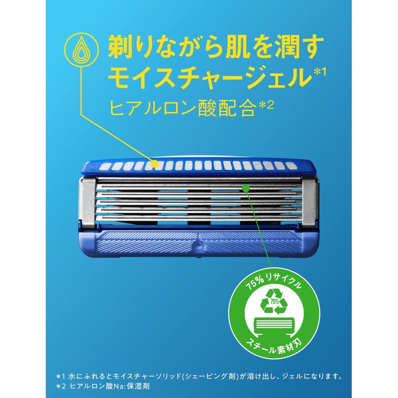 Chic Schick Hydro 5 Basic Replacement Blade (10 Pieces) Shaving