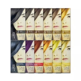 SearchPlace4 Partnership 과일나라 후루츠왁스 새치커버 헤어칼라 염색약 12종 선택형-O 멋내기염색약 후루츠염색약 염모제 [02-3호 짙은갈색] Fruit Country Fruits Wax Gray Hair Cover Hair Color Dye 12 Types Selectable-O Stylish Hair Dye Fruits Dye [02-3 Deep Brown]