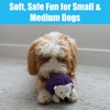 SPOT Gigglers Hedgehog Dog Toy with Giggle Sound | Textured,