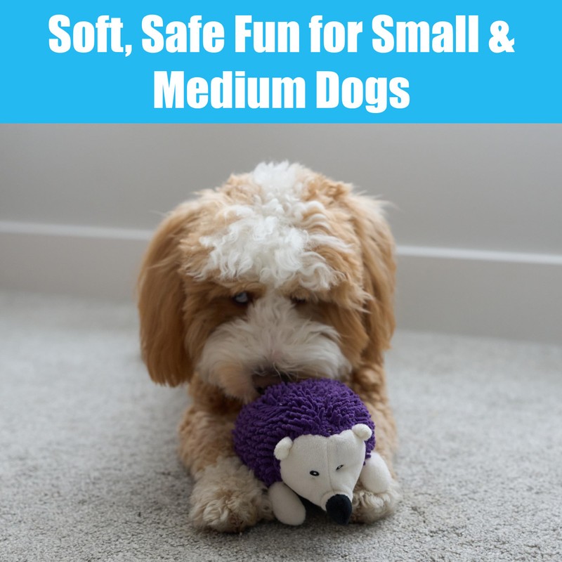 SPOT Gigglers Hedgehog Dog Toy with Giggle Sound | Textured,
