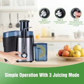 Zorpupoa Juicer Machine, 1000W Centrifugal Juice Extractor with Wide Mouth 2.6" Feed Chute for Whole Fruits and Vegs, Dual Speeds Fruit Juicer, High Juice Yield, Stainless Steel, BPA-Free