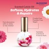 Blossom Blue Cross Professional Nail Care Nourishing Scented Cuticle Softener