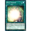 Yu-Gi-Oh! - Soul Charge - LEHD-ENB20 - Common - 1st