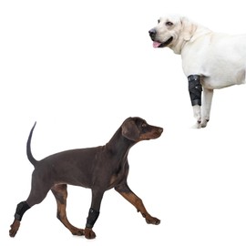 (S/M) Dog Forent Rear Leg Brace Paw Compression Wraps with Protects Wounds Brace Heals and Prevents Injuries and Sprains Helps with Loss of Stability Caused by Arthritis