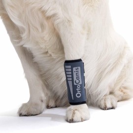 Ortocanis - Carpal Joint Support for Dogs with Osteoarthritis, Ligament or Tendon Injuries - Medium