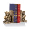 BOIHEGU Lion Statue Bookends, 7 inch Resin Exquisite Lion Statue(Set