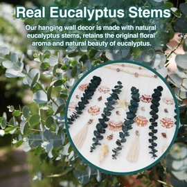 Genuine Eucalyptus Wall Decor with Natural Seashell Beach Decor Coastal Home Decorations with Fresh Eucalyptus Stems Hanging Wooden Bead Garland for Large Bedroom Bathroom Living Room 32 x 32 Inch