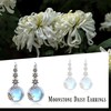 Daisy Earrings Sterling Silver Moonstone Daisy Leverback Earrings Daisy Flower