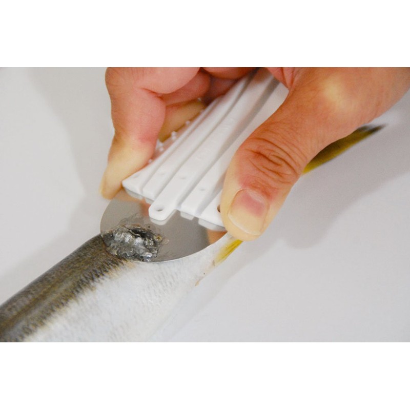 Belmont (Belmont) Small Fish For Hyper Scales Needle mp083 