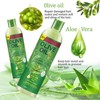Olive Oil Moisture Restore Creamy Aloe Shampoo 12.5fl.oz