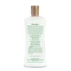 Panama Jack Aloe Moisturizer Lotion - After Sun Daily Skincare,