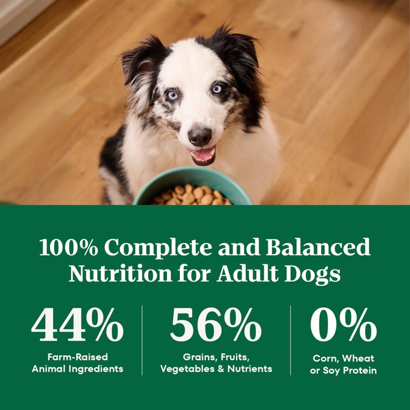 Nutro Natural Choice Adult Dry Dog Food, Chicken & Brown