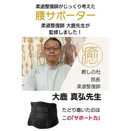 トリプルエス 柔道整復師が考えた 腰ベルト サポートベルト 腰 骨盤 腰椎 通気性 コルセット 男女兼用 (L（メッシュタイプ）)