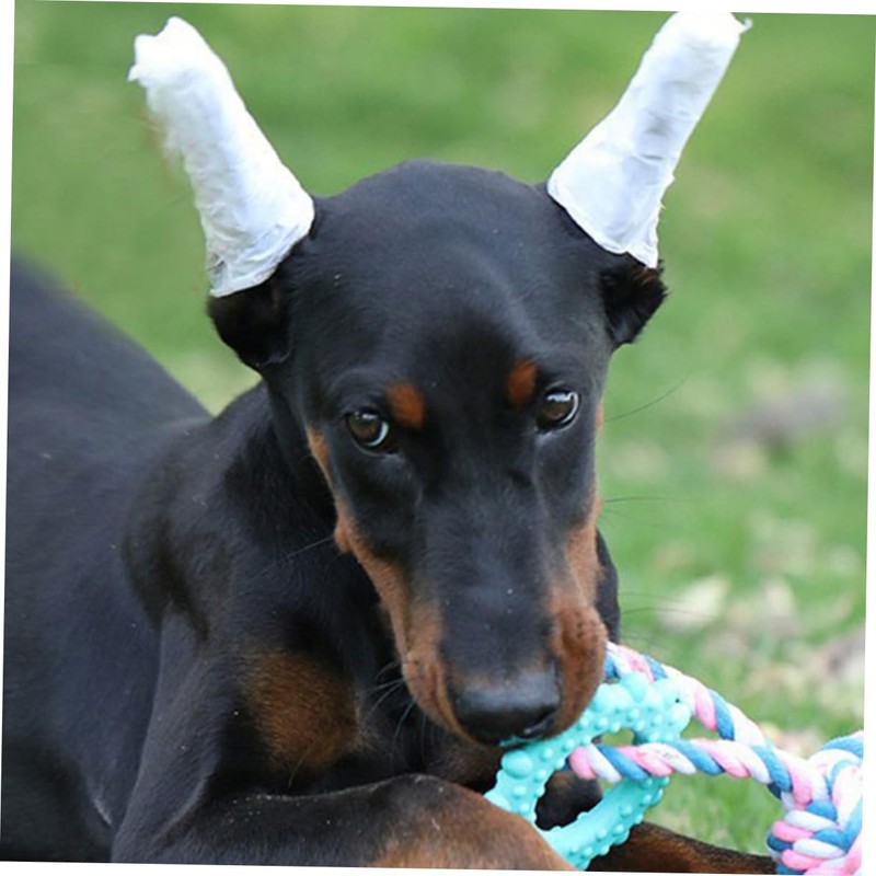 Kisangel Dog Ear Stand Fixed Rod 8 Pieces Pet Ear
